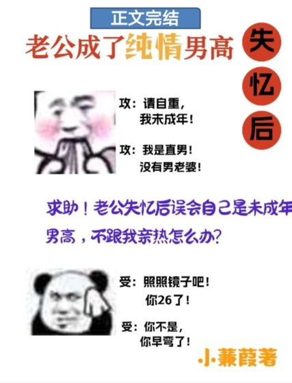 失忆后老公成了纯情男高